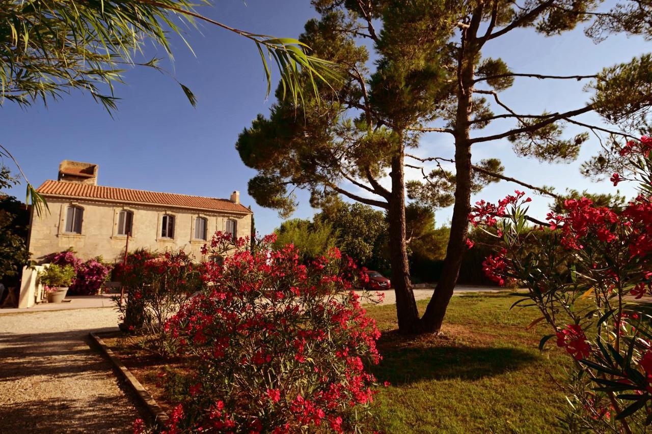 Maison Tara Verte Au Mas Montredon Arles Exterior photo